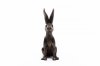 Potty Feet Large Bronze Hare