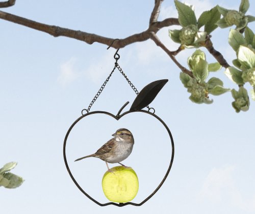 Apple Bird Feeder