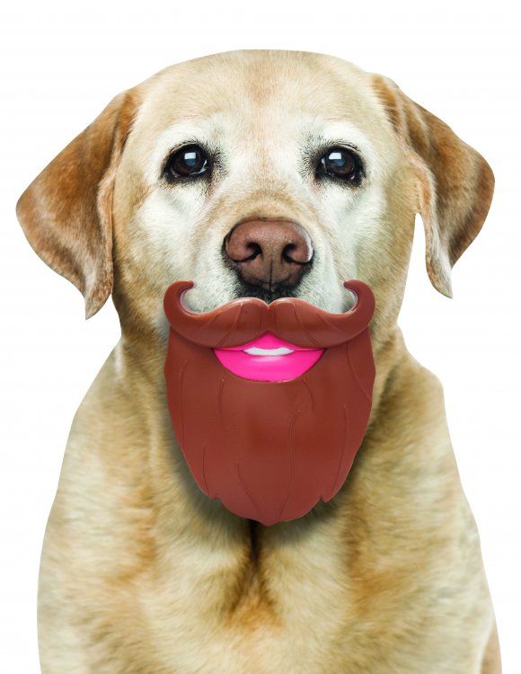 Dog Beard Toy