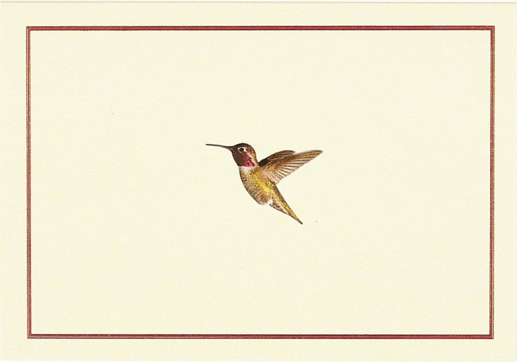 Hummingbird Flight Note Cards