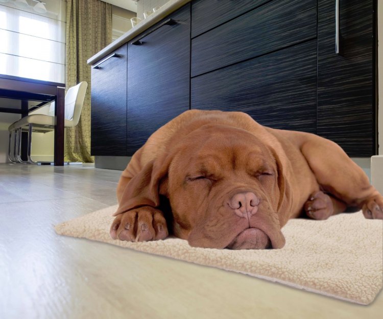 self heating rug